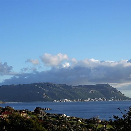 Restio Garden Studio Simonʼs Town Kültér fotó