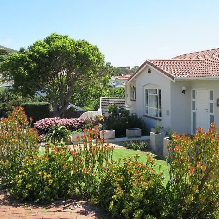 Restio Garden Studio Simonʼs Town Kültér fotó