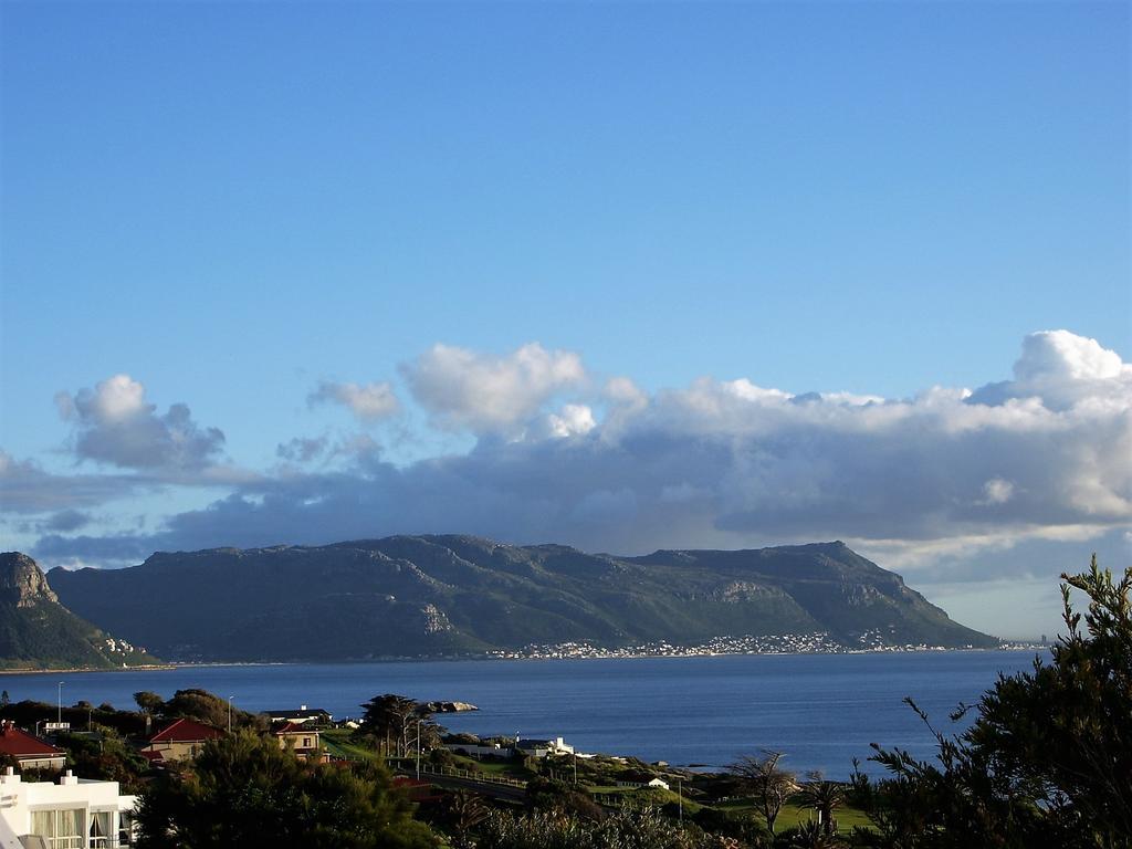 Restio Garden Studio Simonʼs Town Kültér fotó