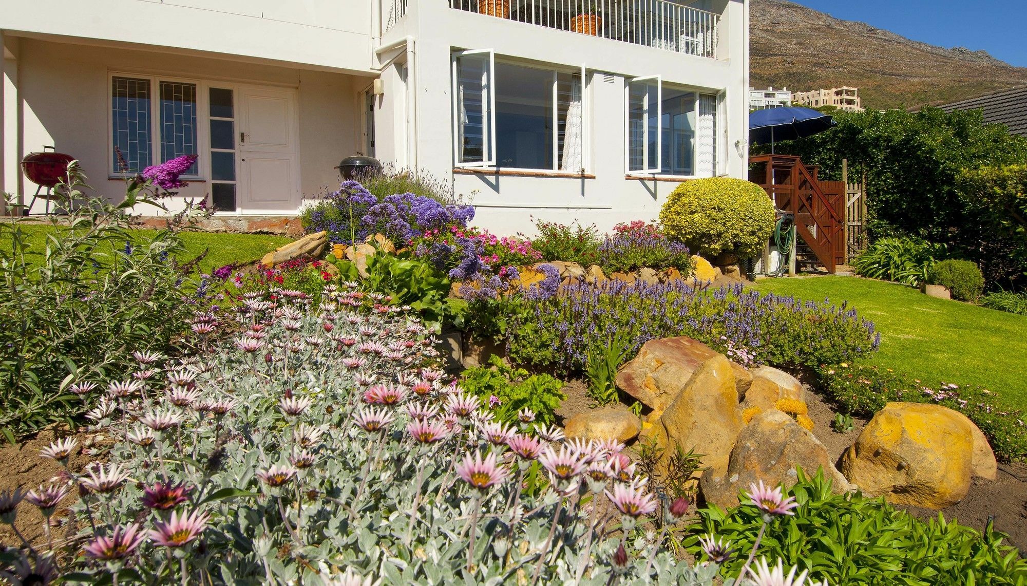 Restio Garden Studio Simonʼs Town Kültér fotó