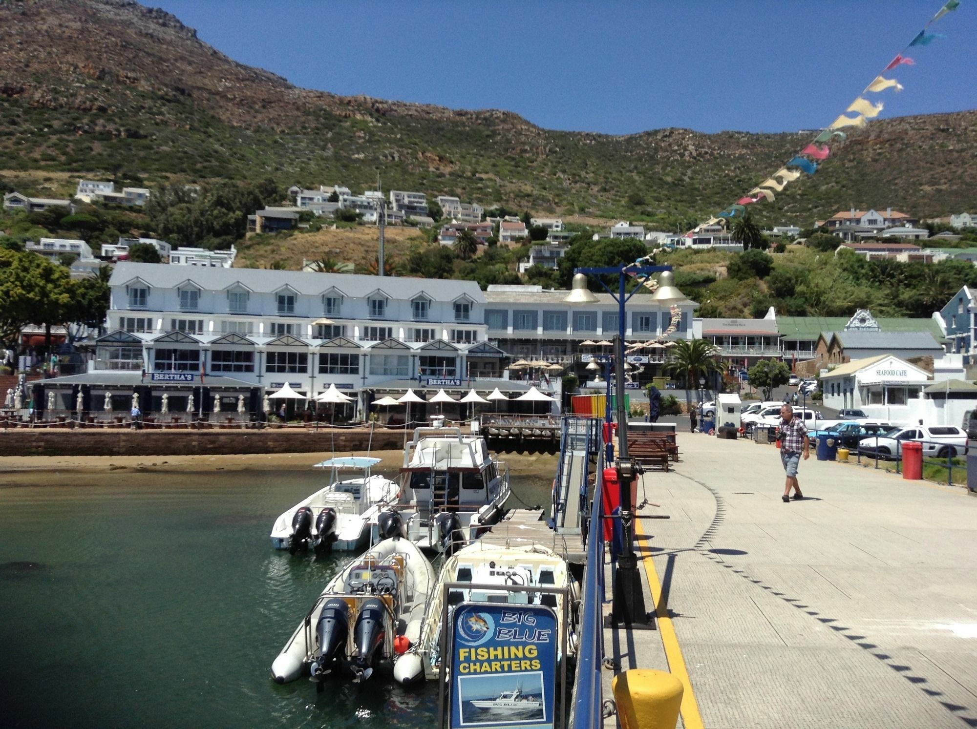 Restio Garden Studio Simonʼs Town Kültér fotó