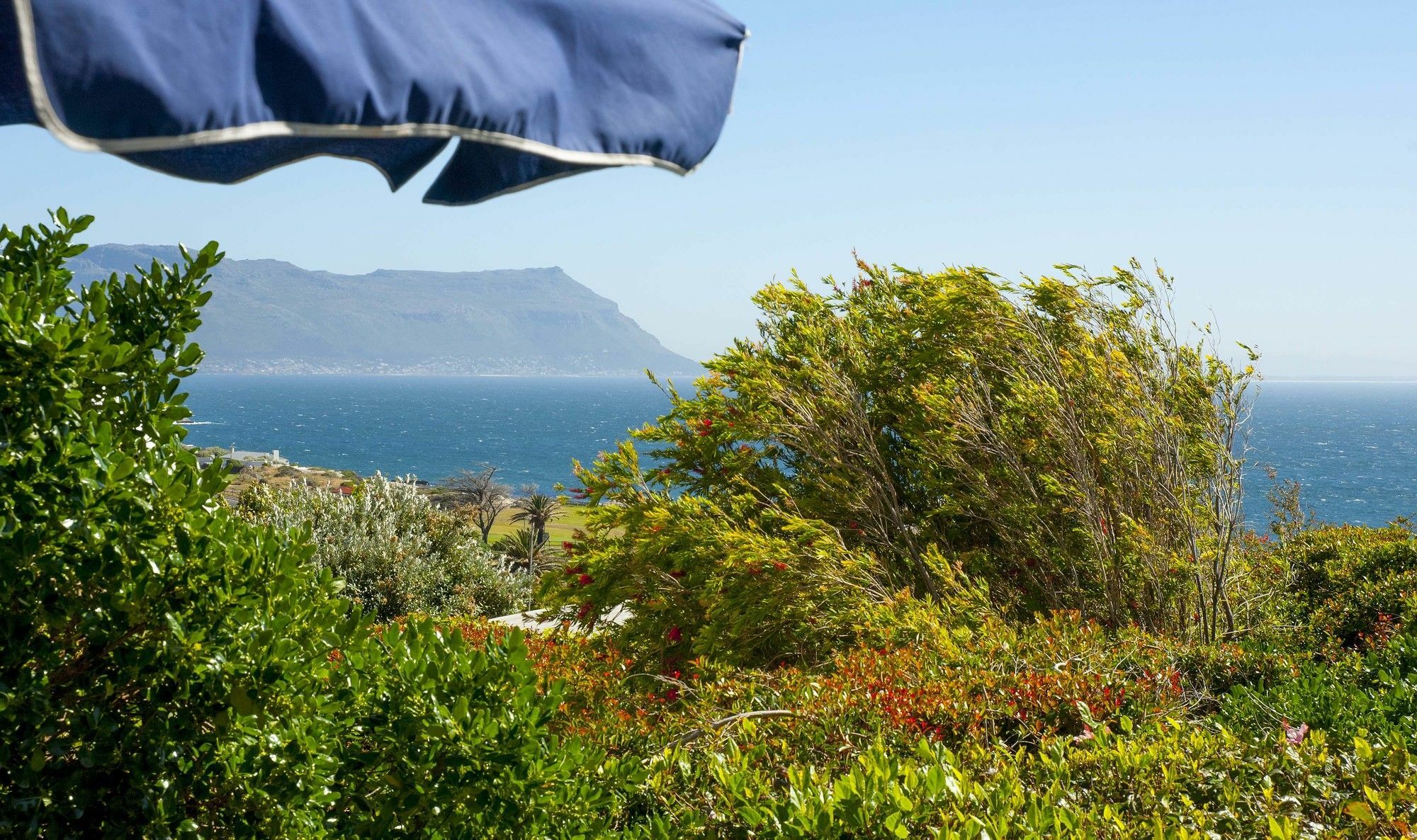 Restio Garden Studio Simonʼs Town Kültér fotó